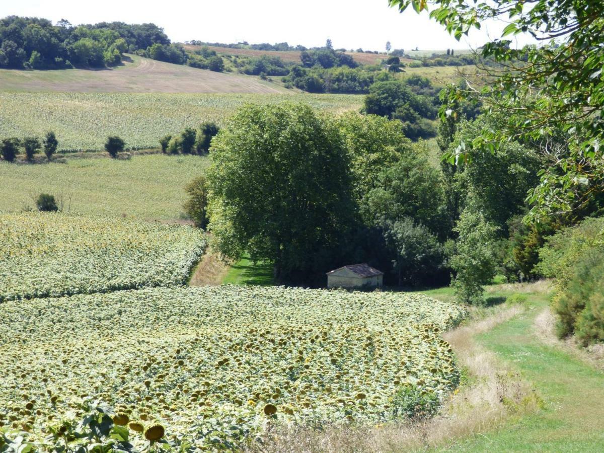 Domaine En Castanet Bed and Breakfast Caraman Exteriör bild